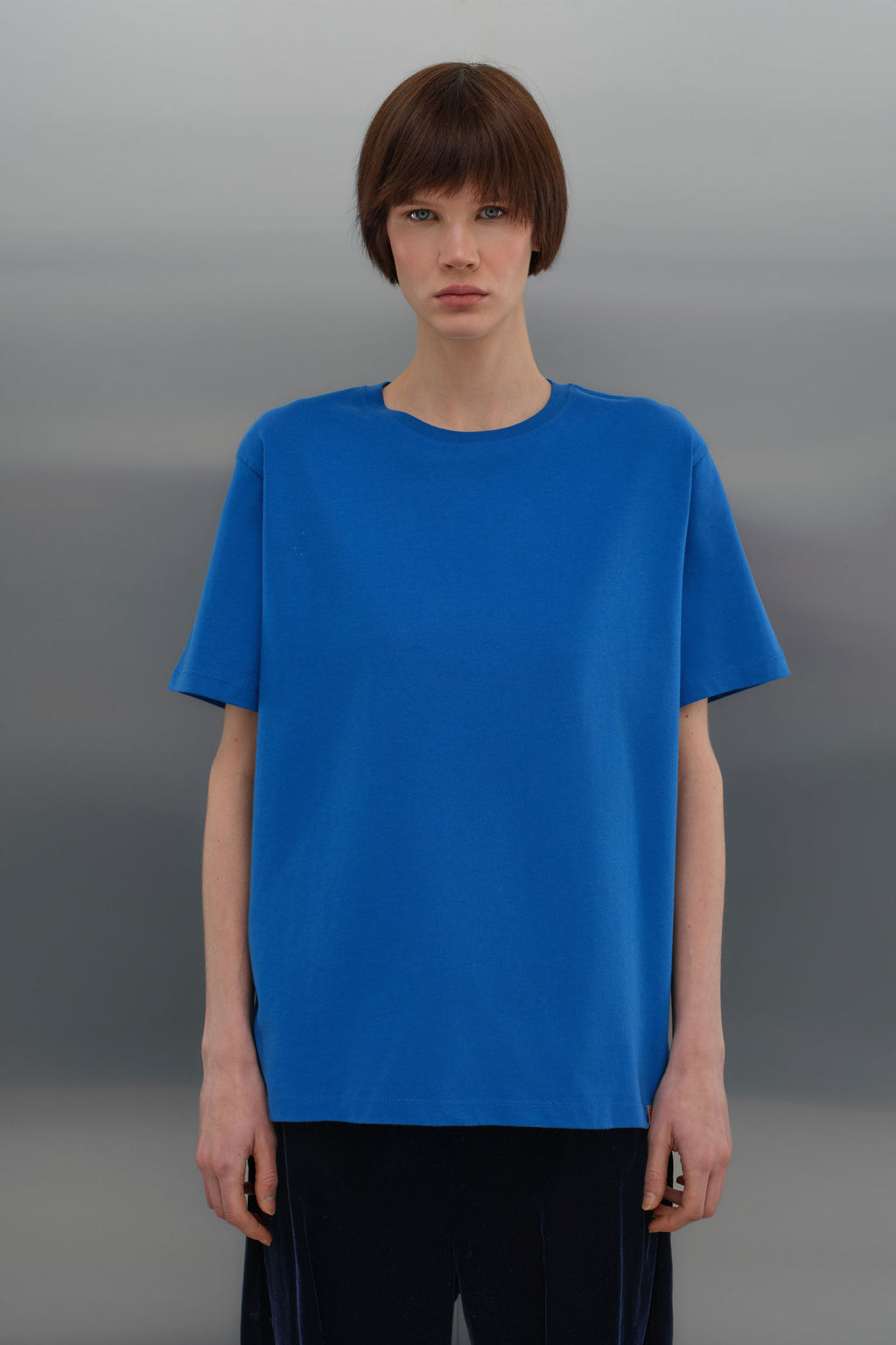 Regular T-Shirt - Saks Mavi