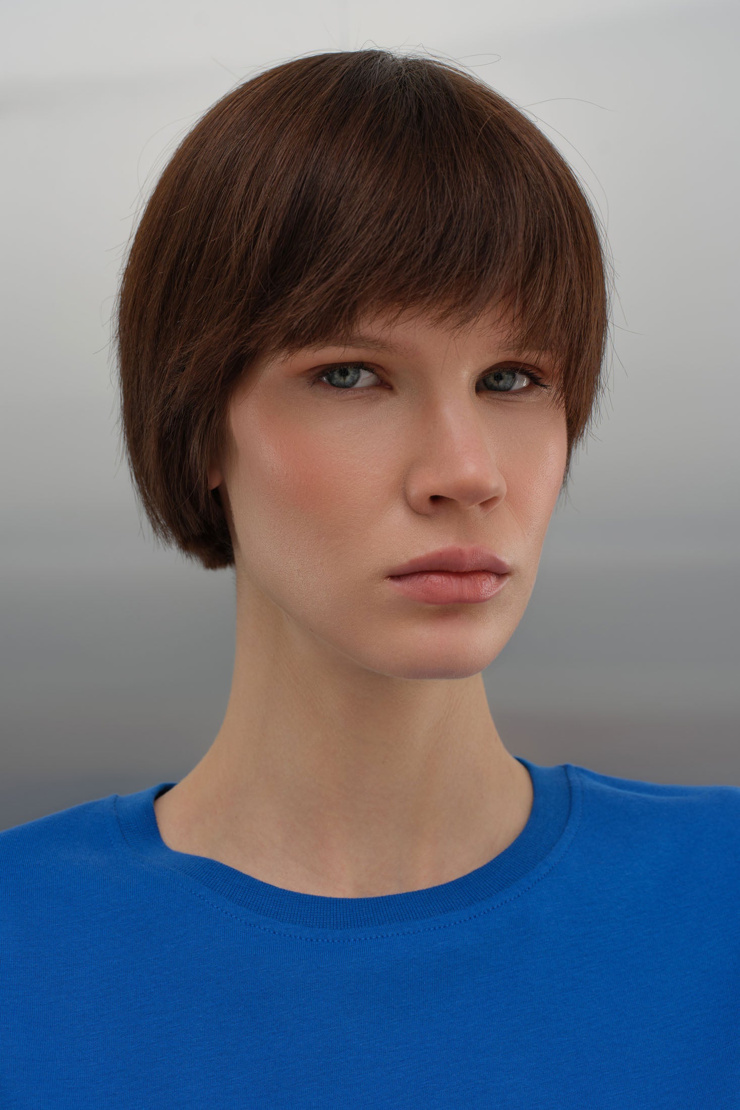 Regular T-Shirt - Saks Mavi