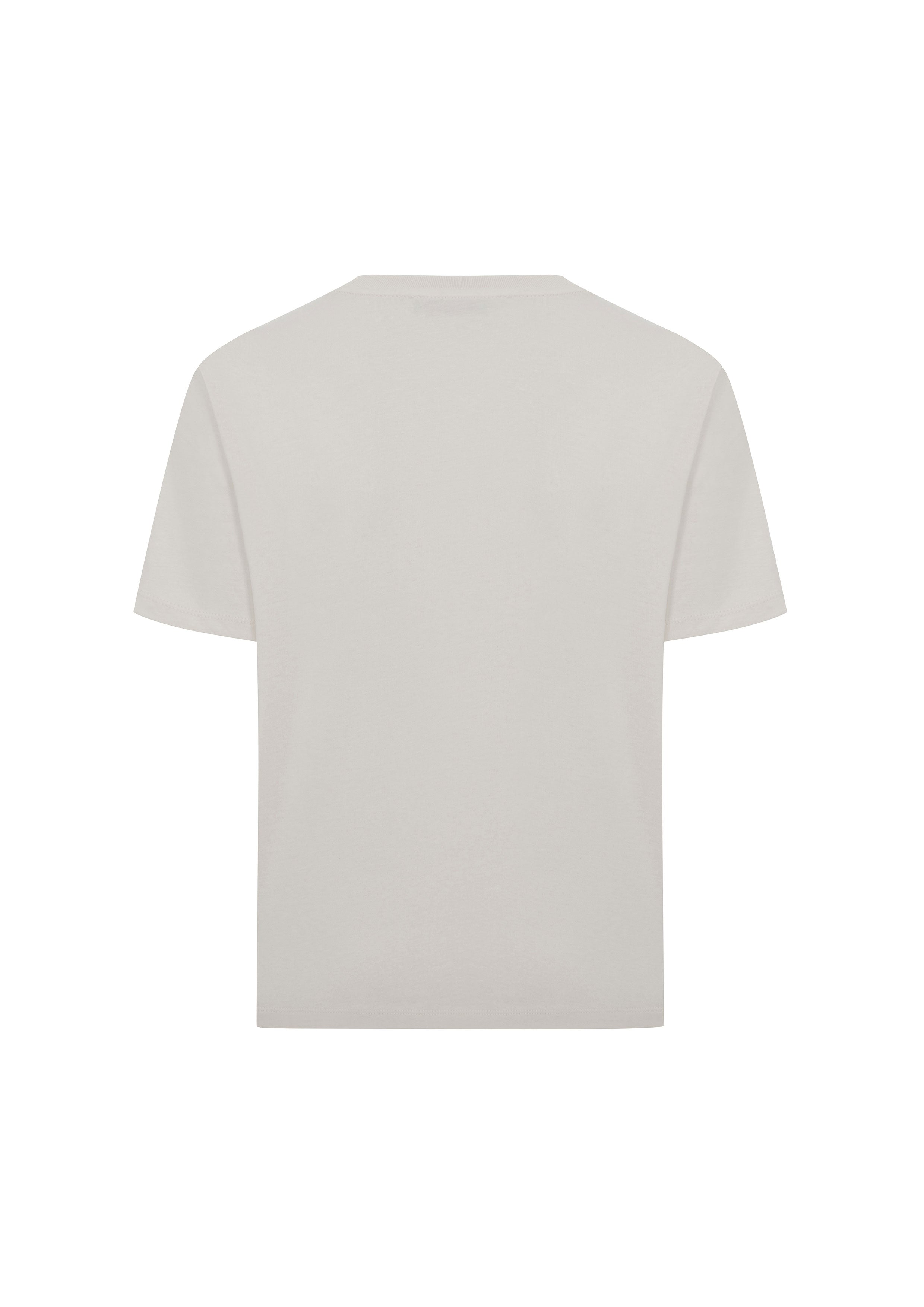 Regular T-Shirt - Açık Gri